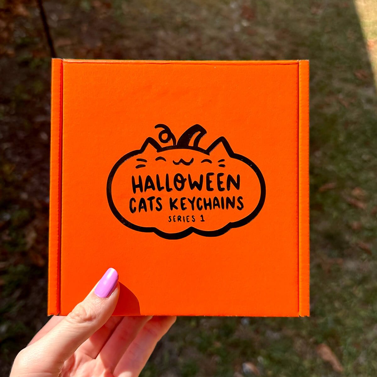 Halloween Cats Keychains! *COMPLETE SET*