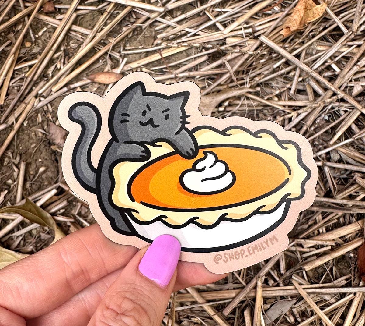 Pumpkin Pie Cat Magnet
