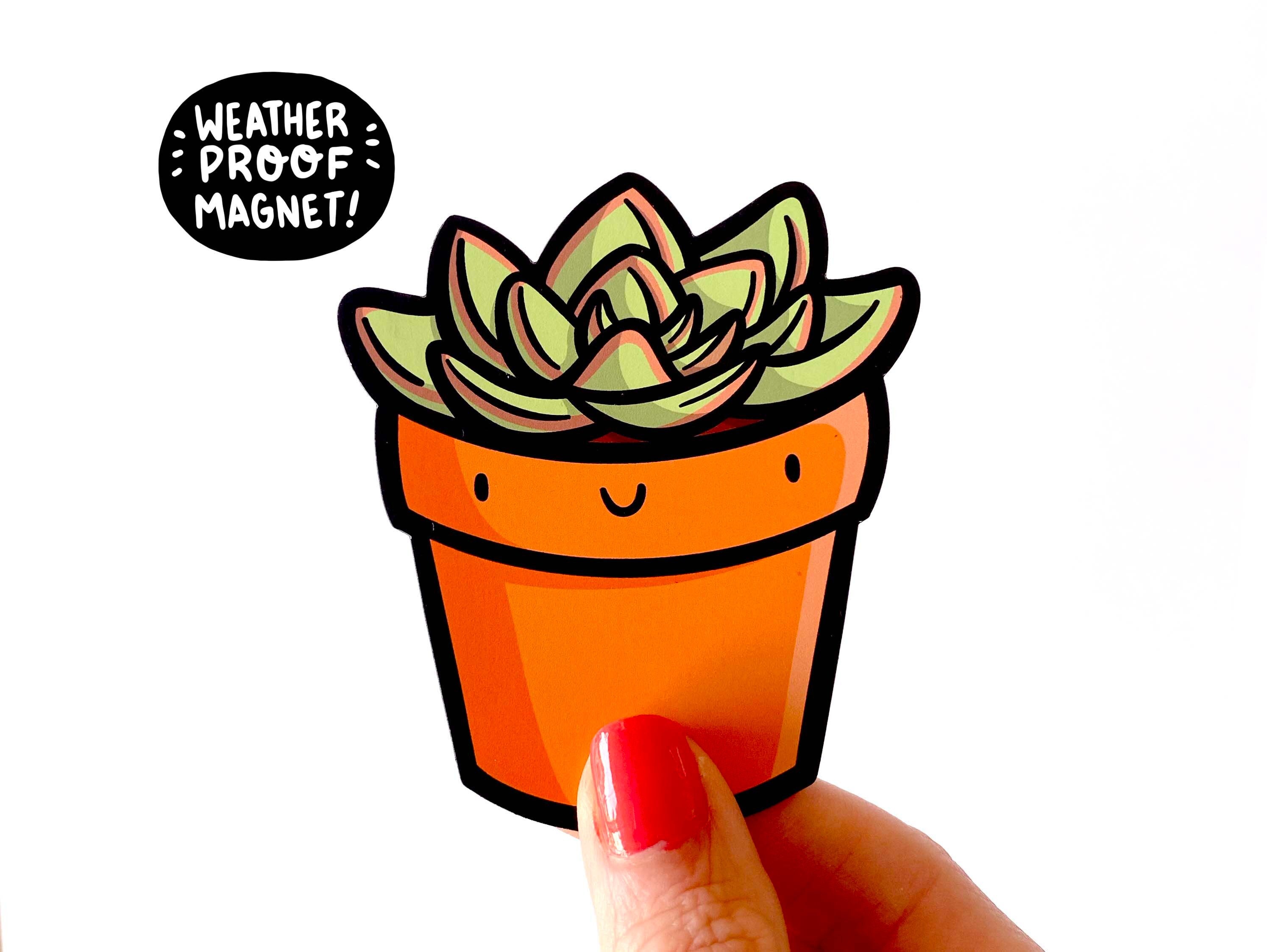 Succulent Magnet