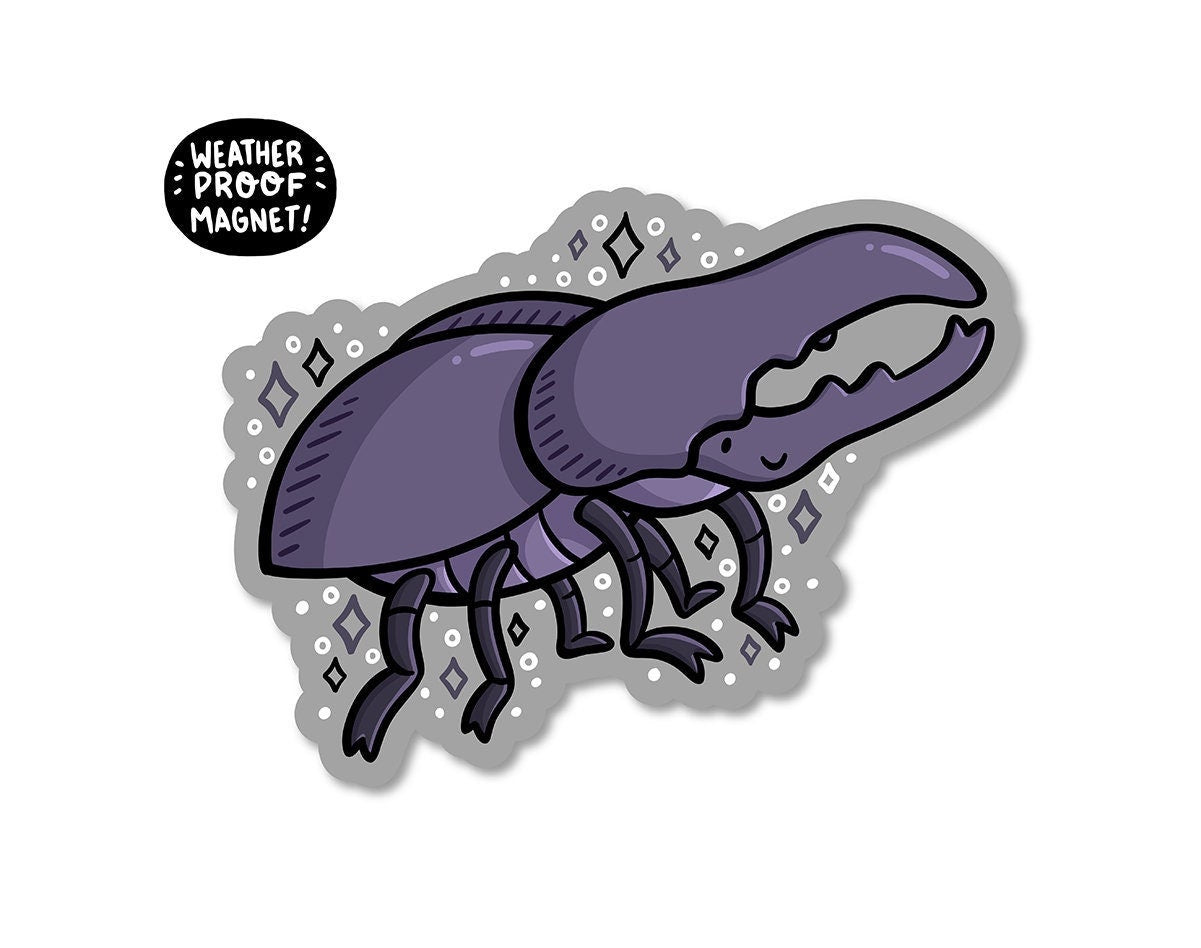 Beetle Magnet