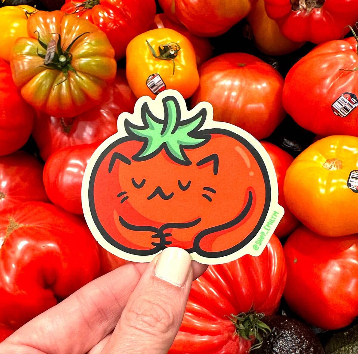 Tomato Cat Sticker