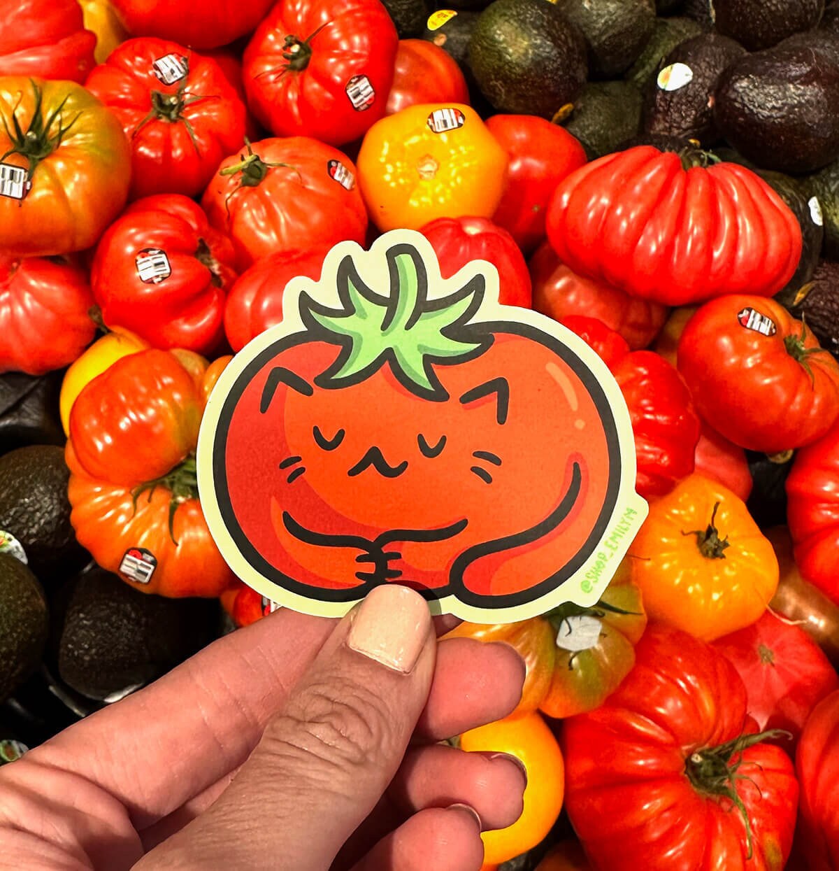 Tomato Cat Sticker