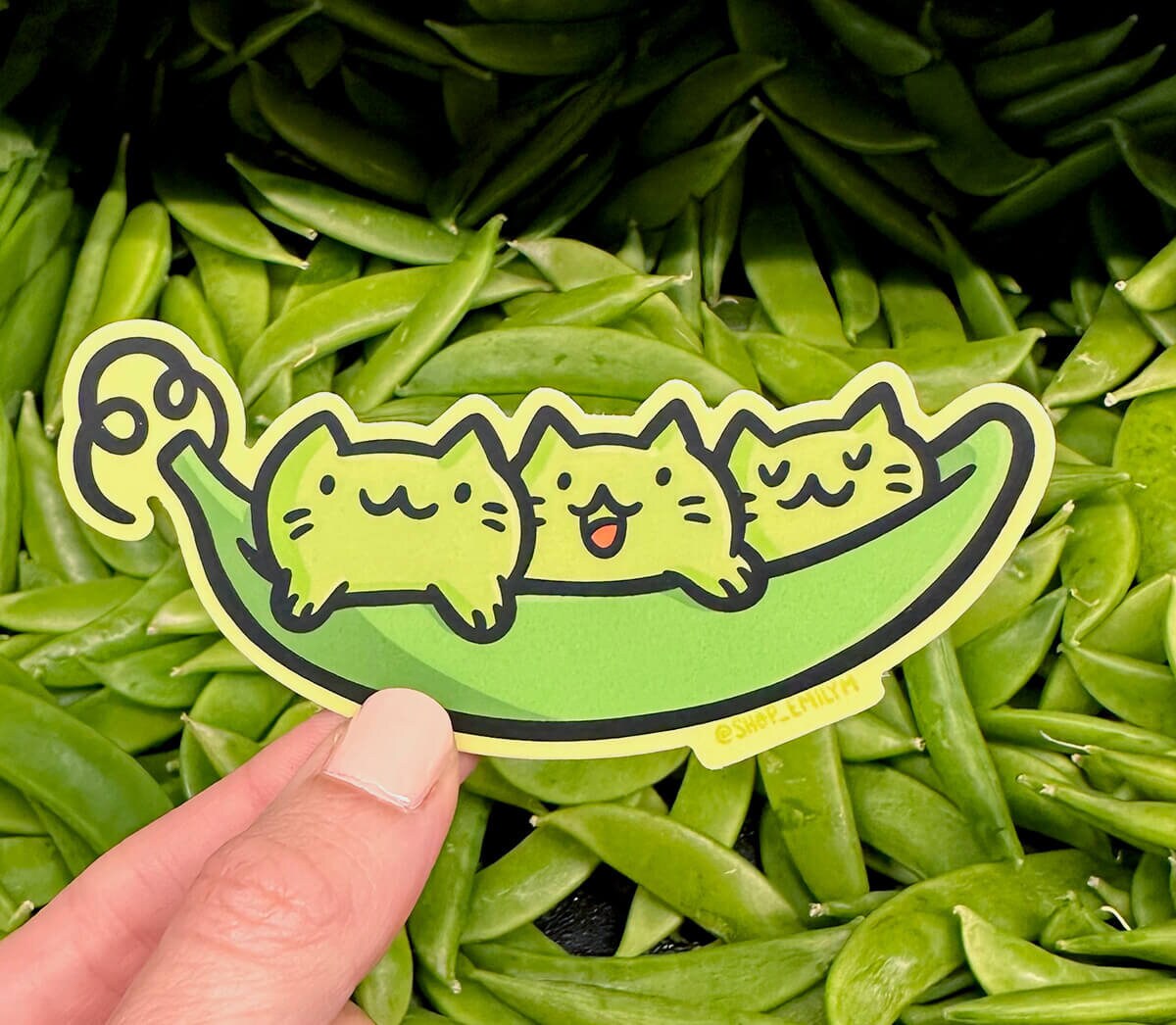 Peas Cat Sticker