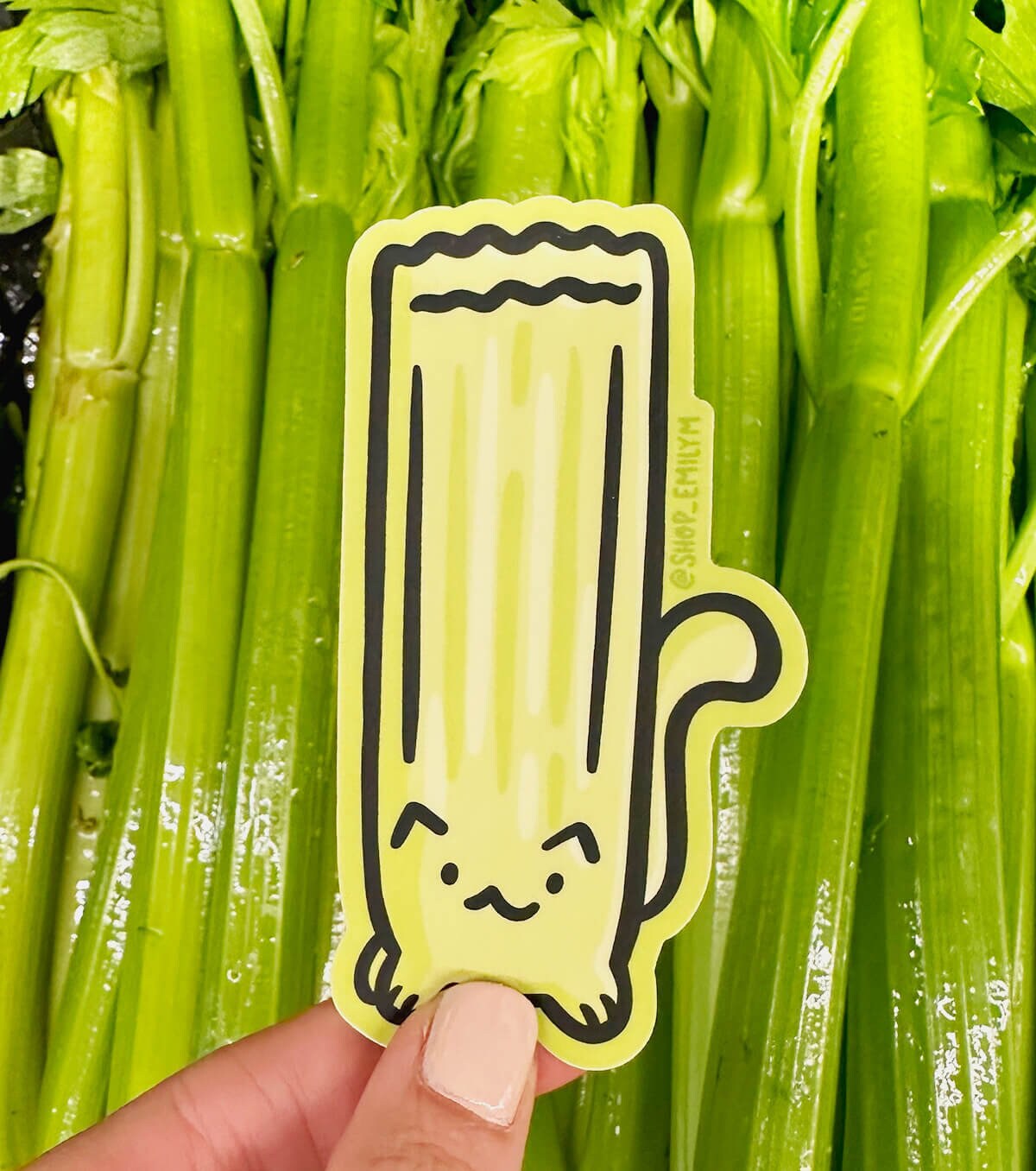 Celery Cat Magnet