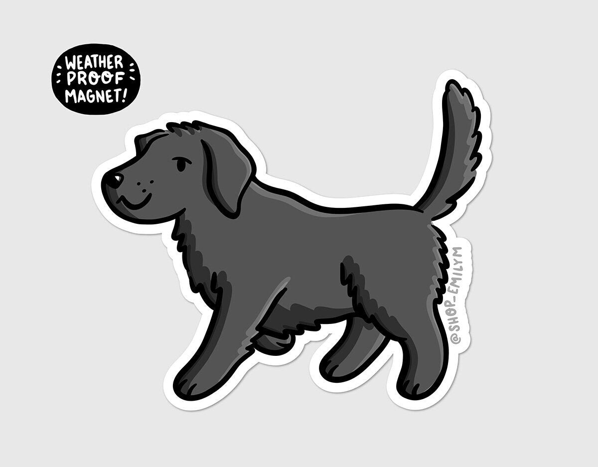 Labrador Retreiver Magnet (Black)