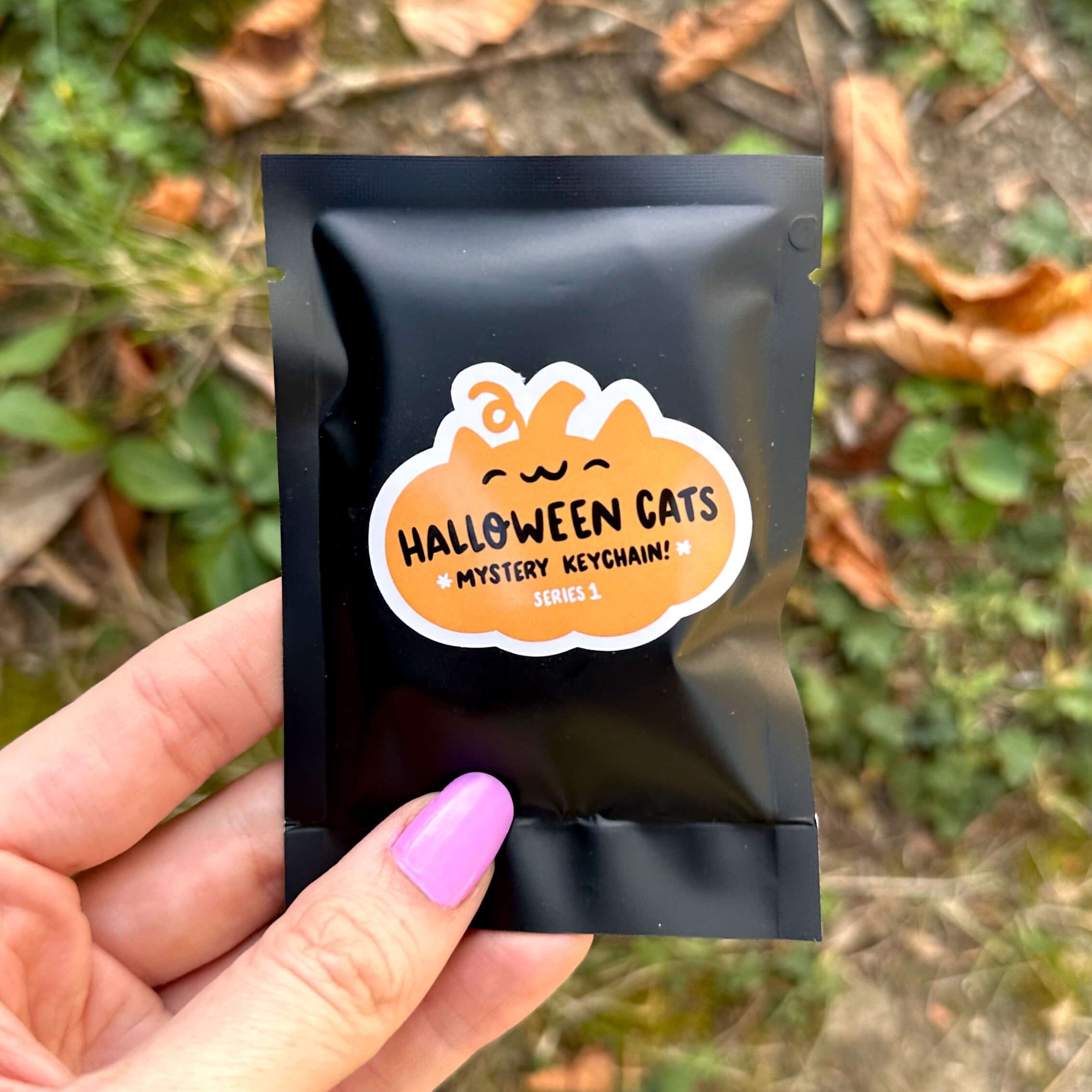 *COMPLETE SET* Halloween Cats Keychains!