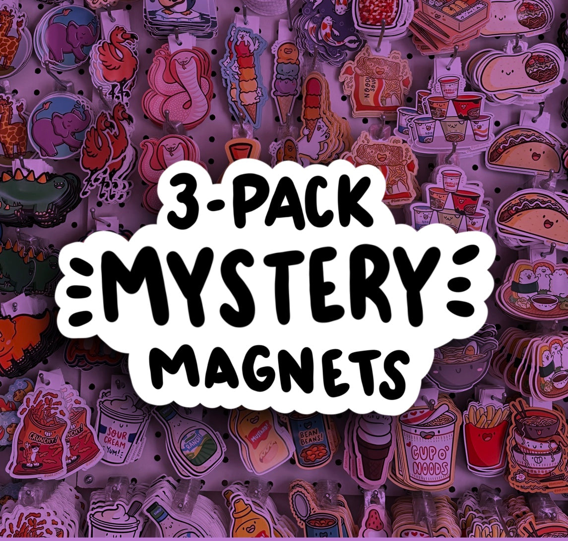 Mystery MAGNET 3-Pack!