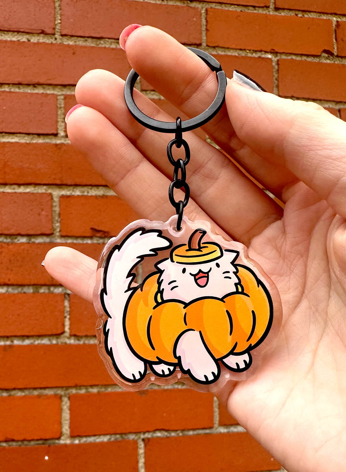 *MYSTERY* Halloween Cat Keychain!