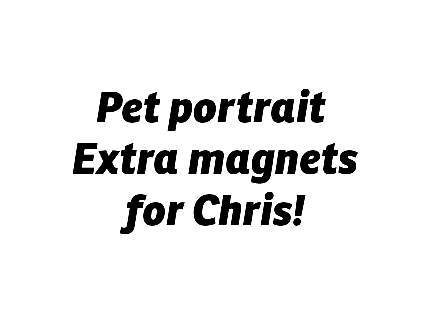 Custom Pet Portrait - Extra Magnets for Chris!