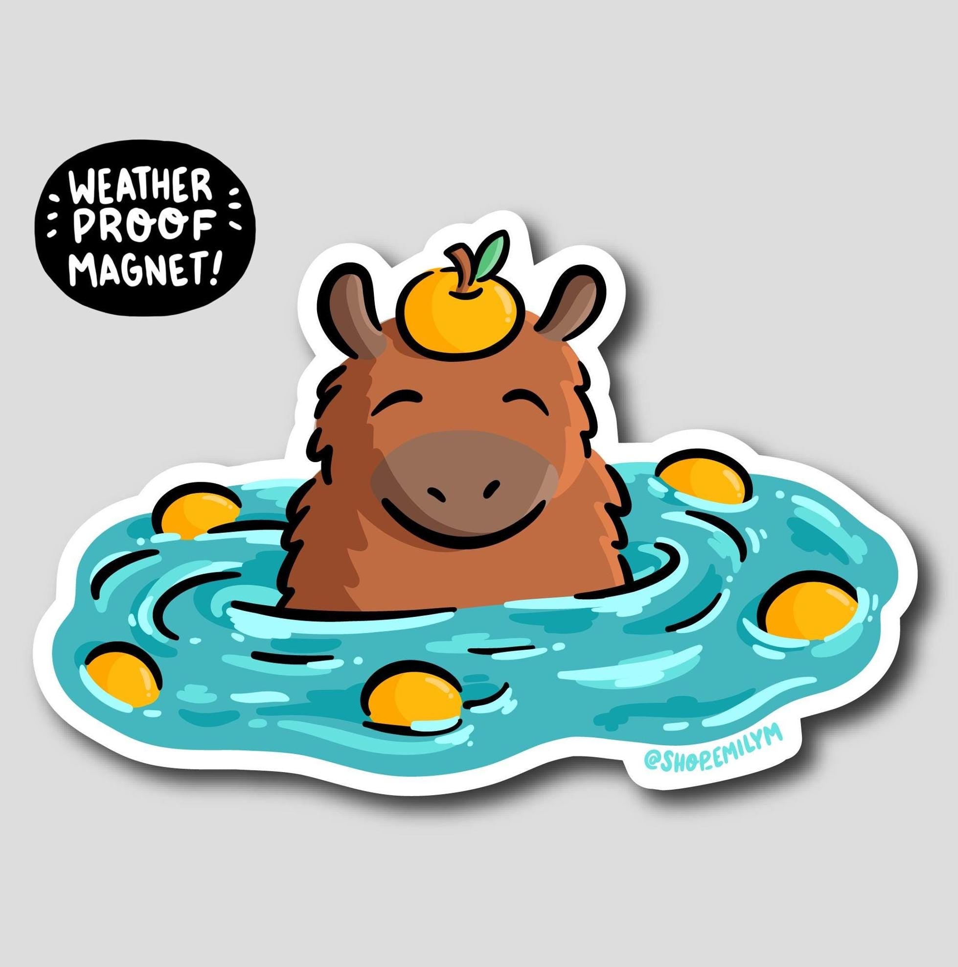 Orange Capybara Magnet