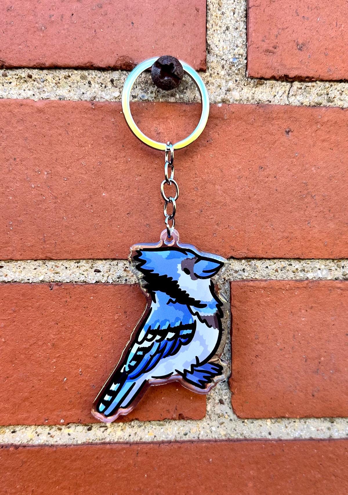 Blue Jay Keychain