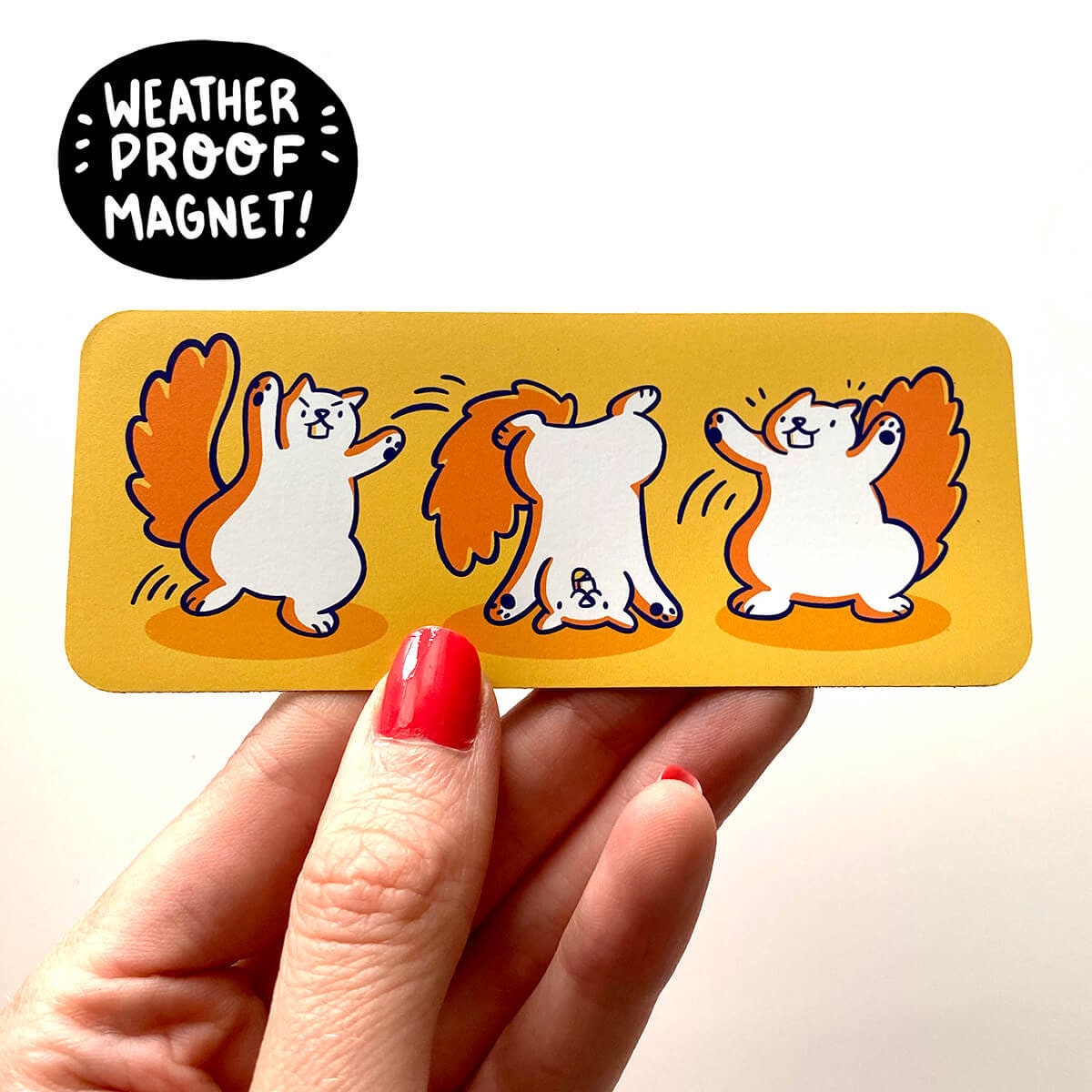 Cartwheel Squirrel Magnet