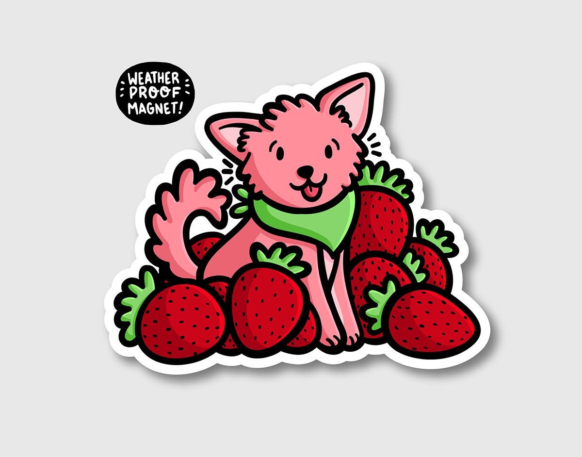 Strawberry Shiba Inu Magnet (Discontinued!)