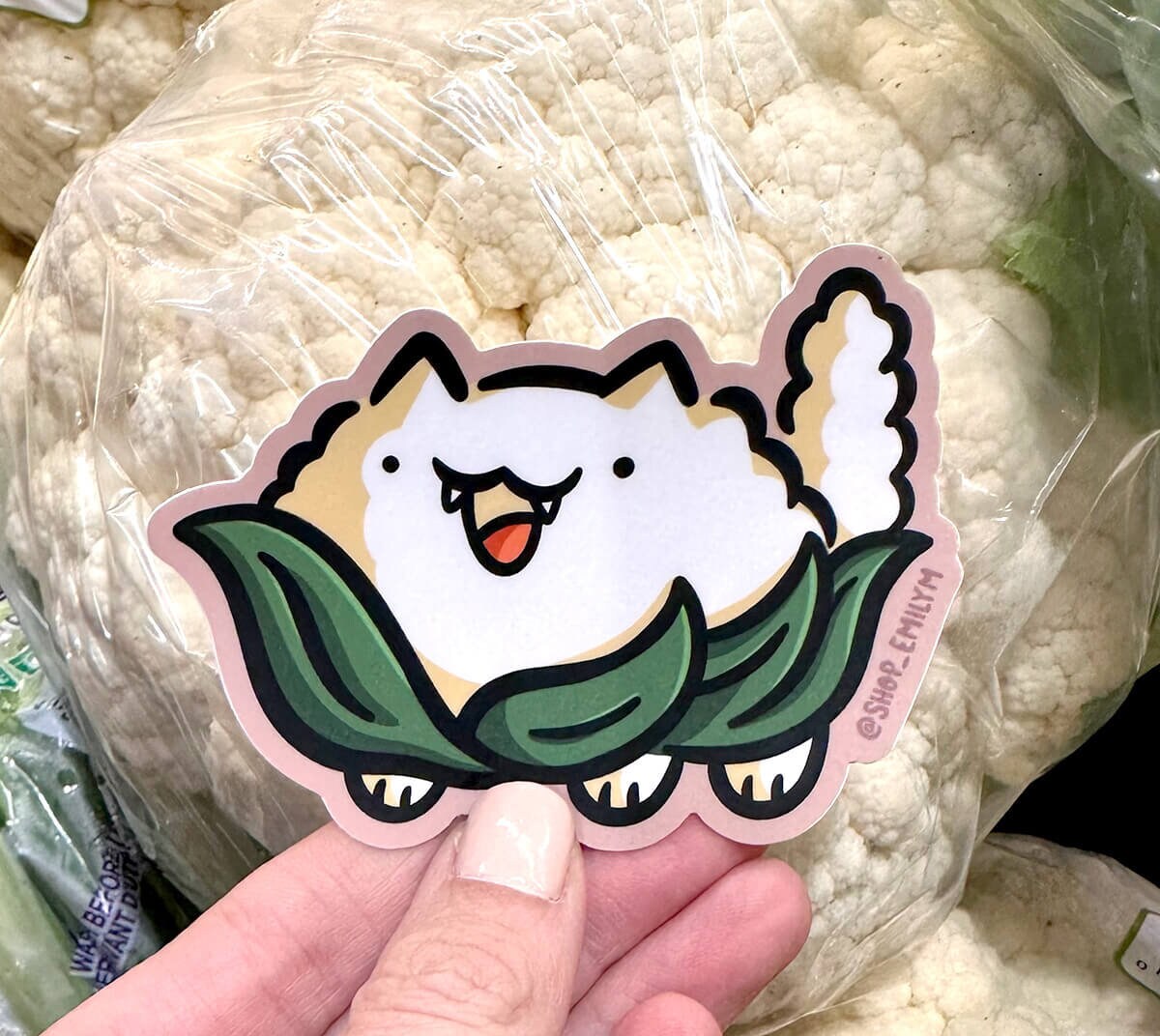 Cauliflower Cat Sticker