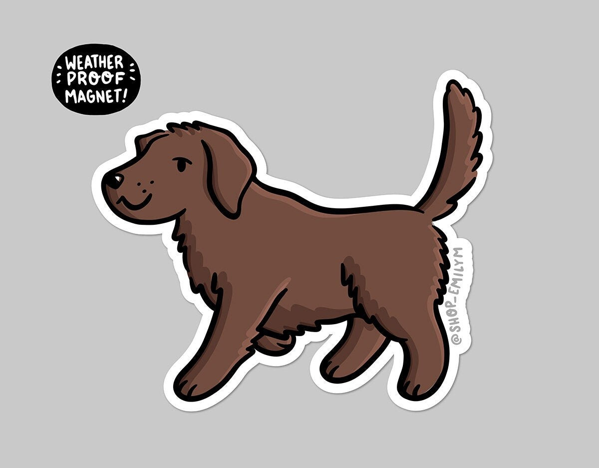 Labrador Retreiver (Chocolate) Magnet