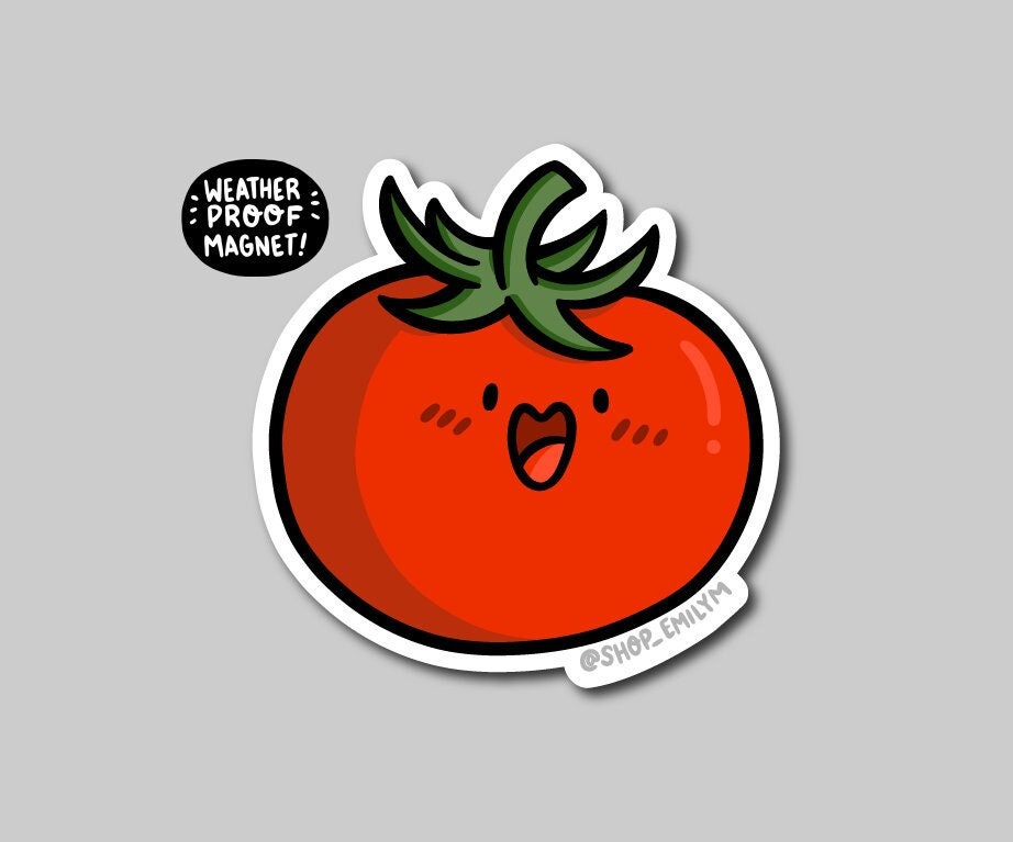 Tomato Magnet